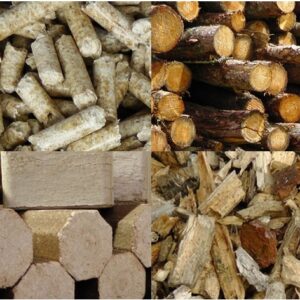 Biomass wood